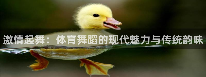 速播体育直播：激情起舞：体育舞蹈的现代魅力与传统韵味