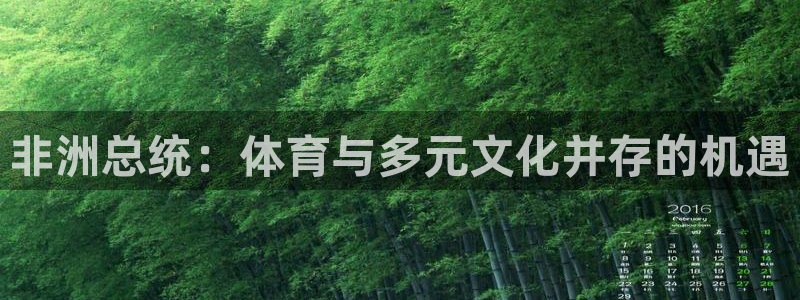 关键词：非洲总统：体育与多元文化并存的机遇