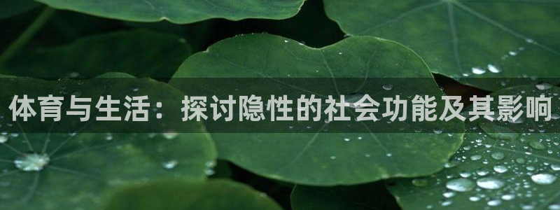 速播体育直播