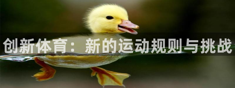 速播体育直播：创新体育：新的运动规则与挑战