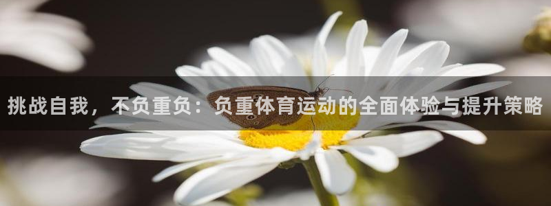 速播体育：挑战自我，不负重负：负重体育运动的全面体验与提升策略