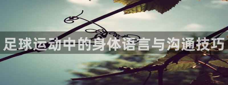 速播体育网