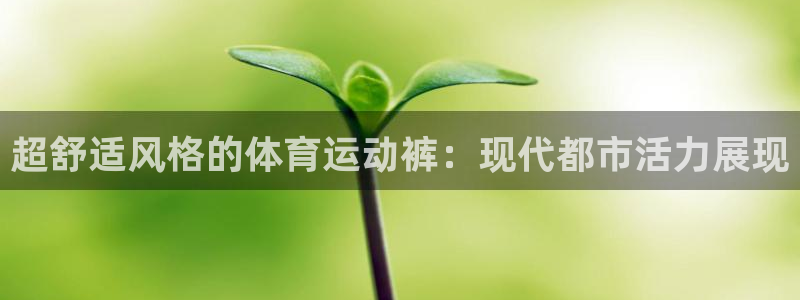 速播体育网：超舒适风格的体育运动裤：现代都市活力展现
