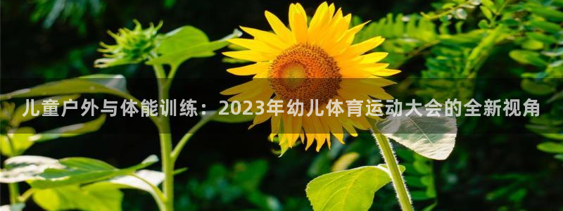 速播体育：儿童户外与体能训练：2023年幼儿体育运动大会的全新视角